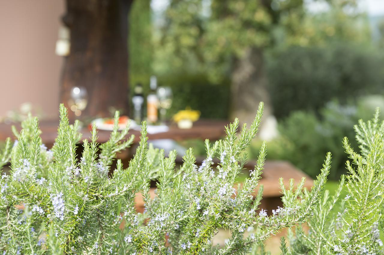 Agriturismo Poggio Corbello La Pesta Eksteriør billede