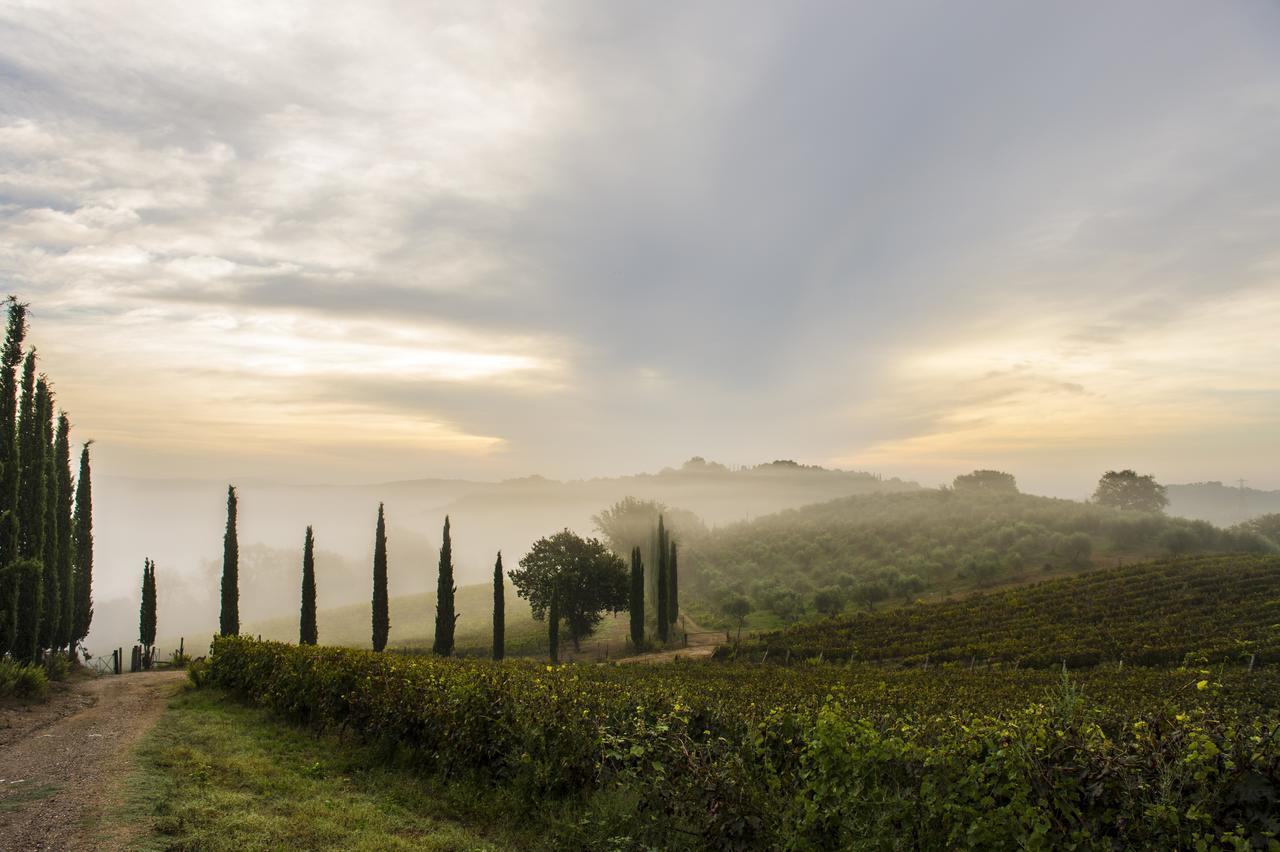Agriturismo Poggio Corbello La Pesta Eksteriør billede