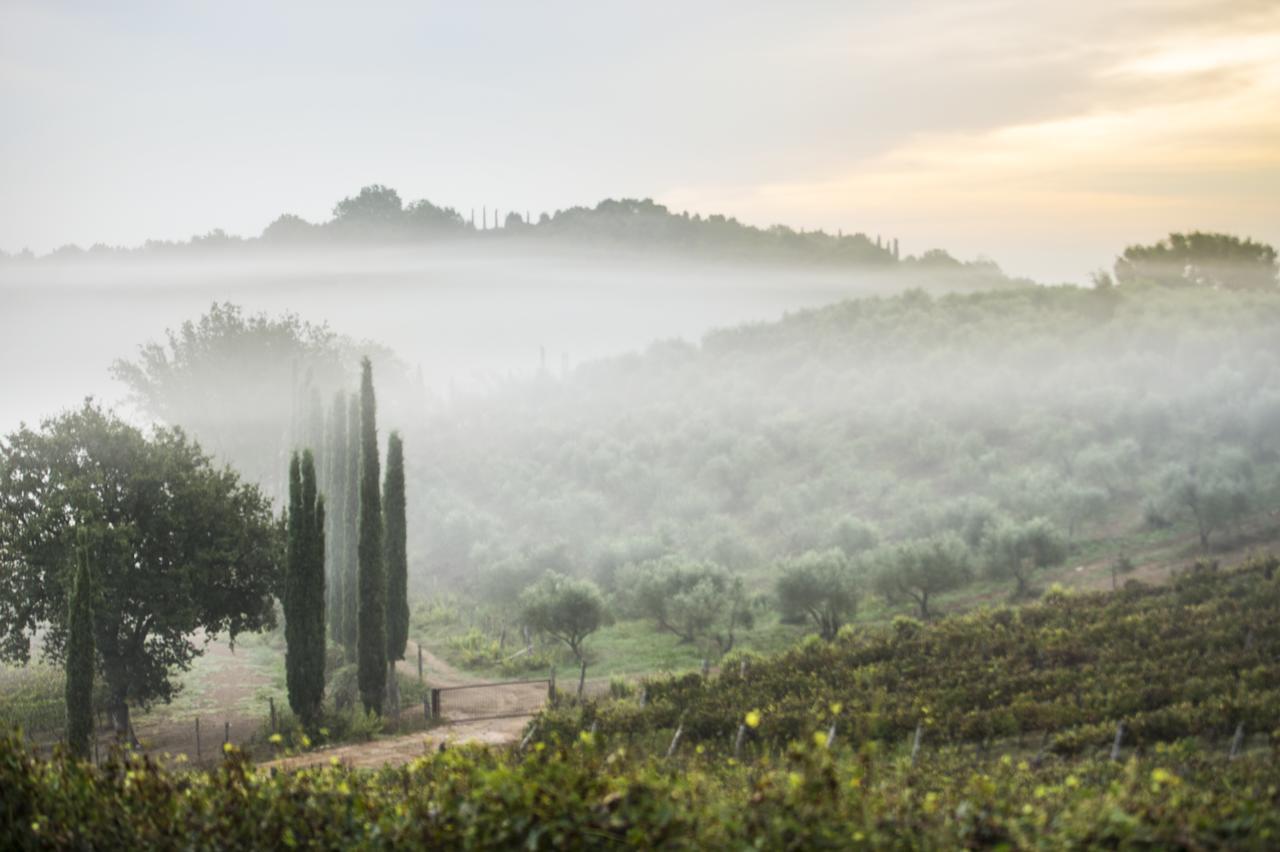 Agriturismo Poggio Corbello La Pesta Eksteriør billede