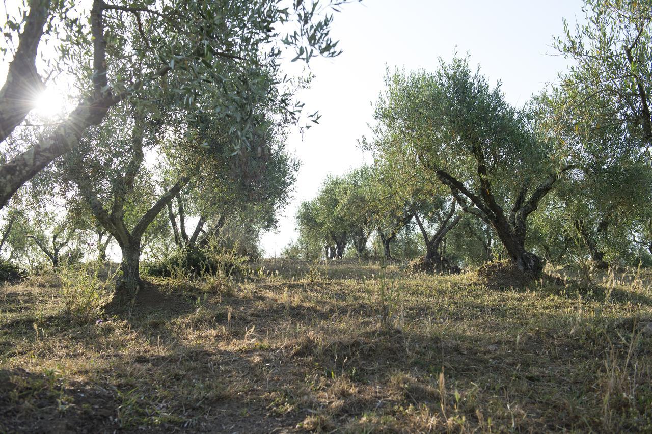 Agriturismo Poggio Corbello La Pesta Eksteriør billede