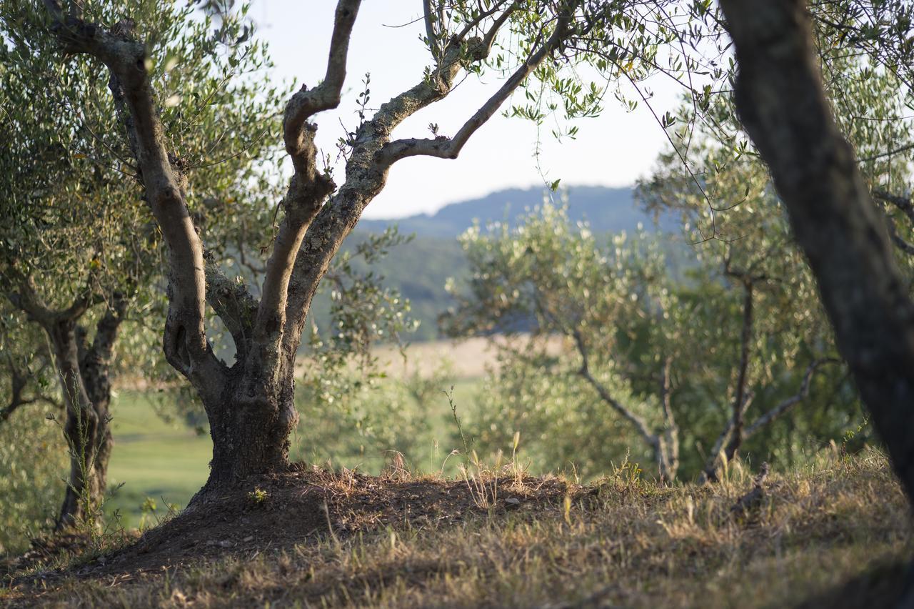 Agriturismo Poggio Corbello La Pesta Eksteriør billede