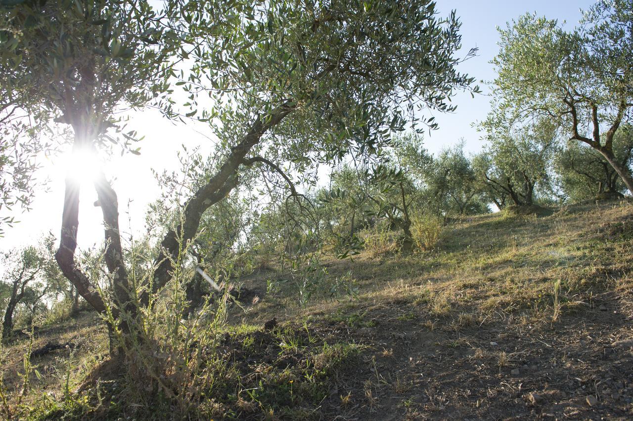 Agriturismo Poggio Corbello La Pesta Eksteriør billede