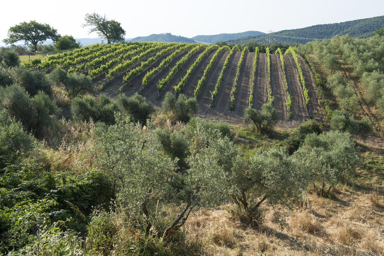 Agriturismo Poggio Corbello La Pesta Eksteriør billede