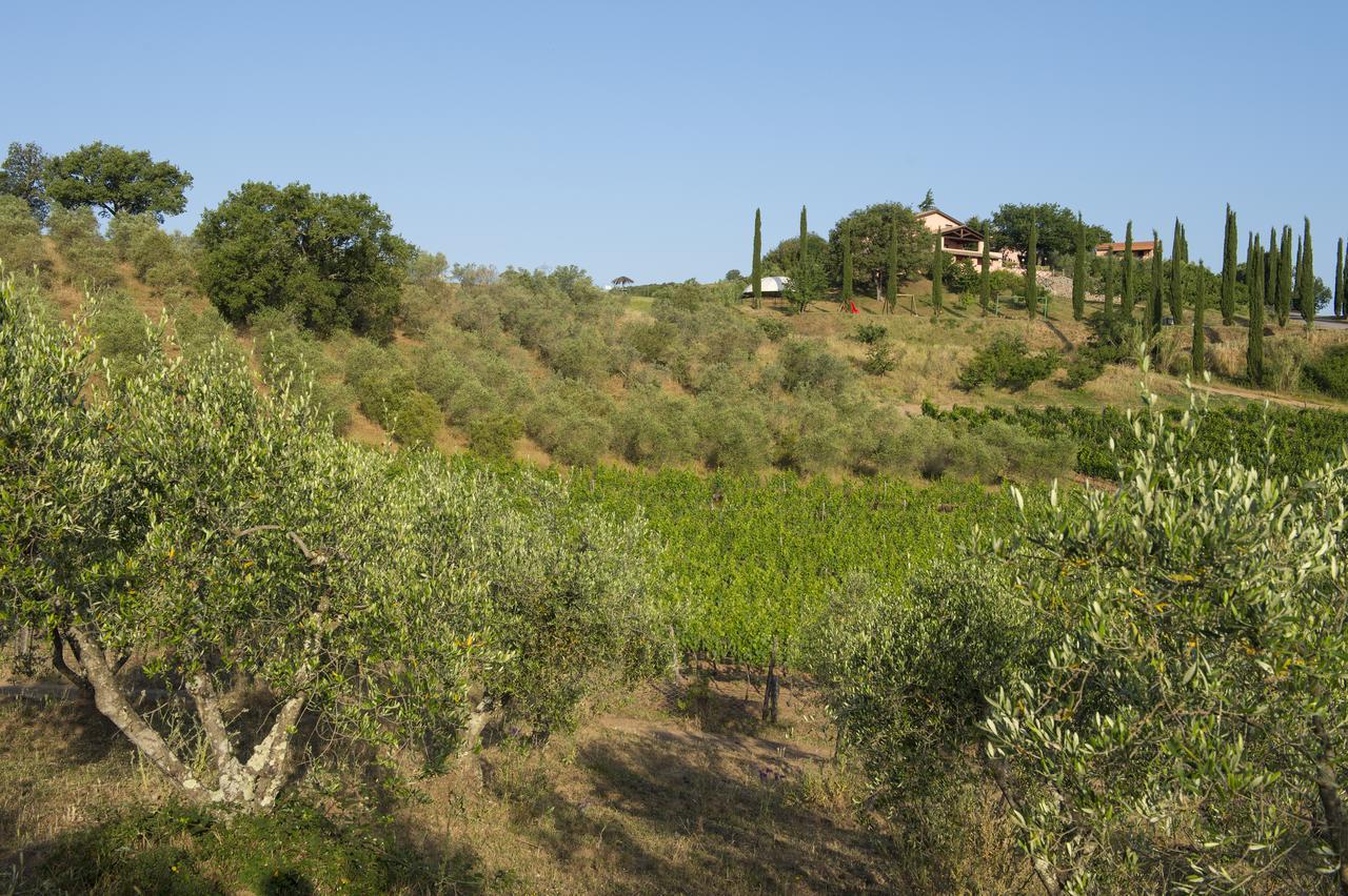 Agriturismo Poggio Corbello La Pesta Eksteriør billede