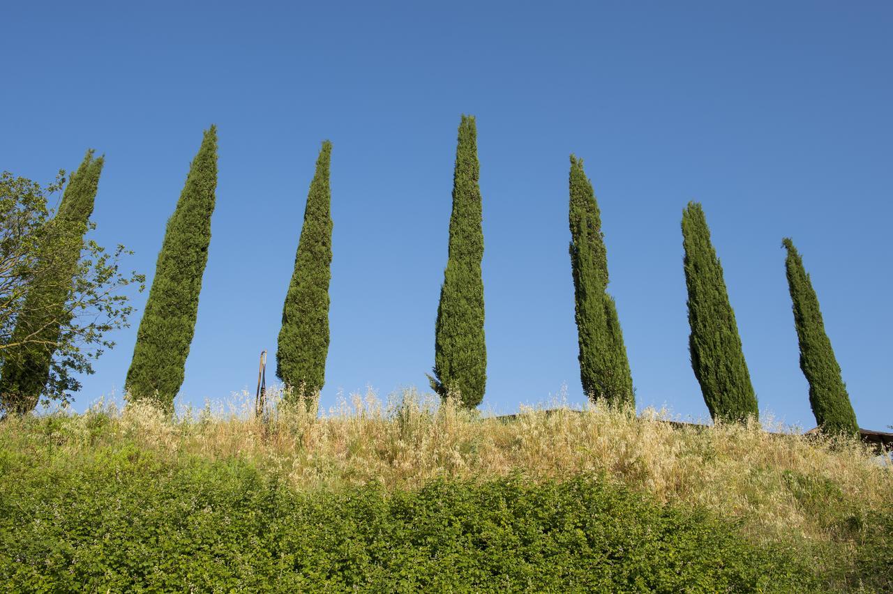Agriturismo Poggio Corbello La Pesta Eksteriør billede